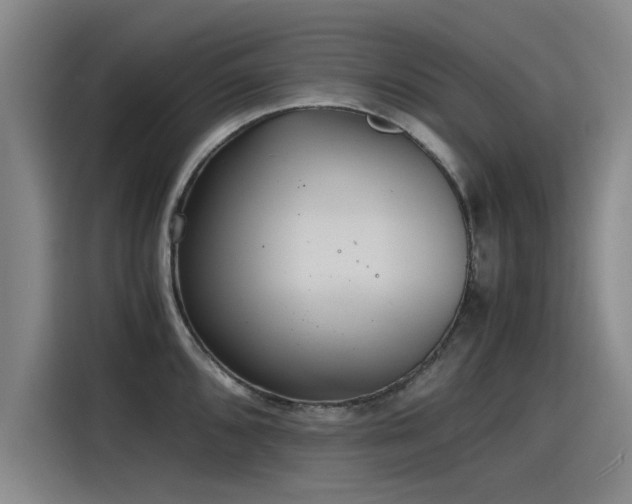 X0000115481096200911131210