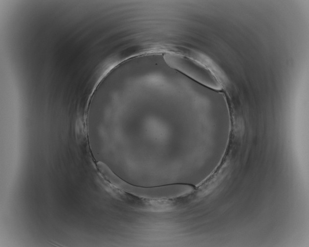 X0000115481097200911131210