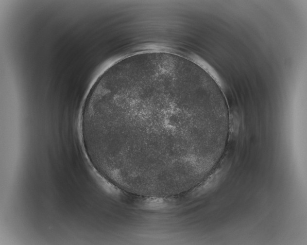 X0000115481098200911131210