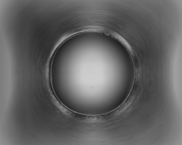 X0000115481099200911131210