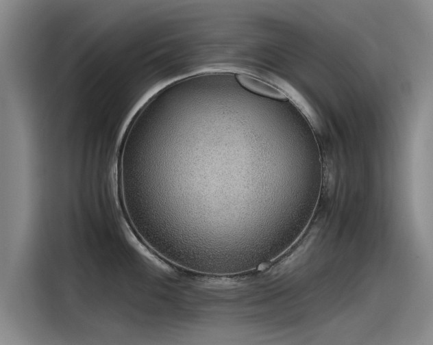 X0000115481100200911131210