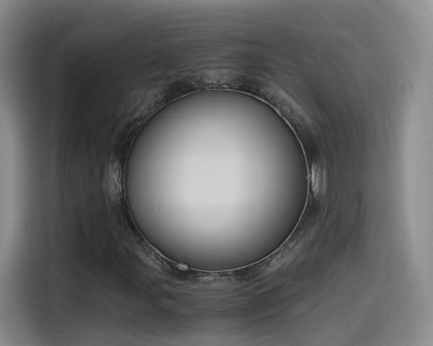 X0000115481107200911131210