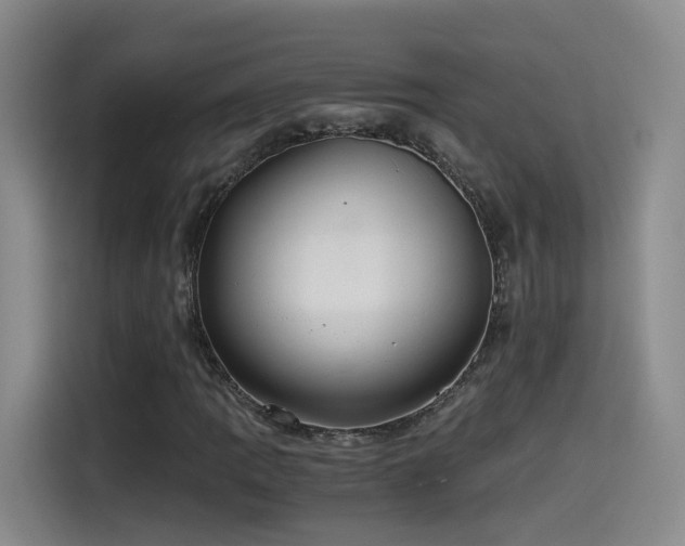 X0000115481109200911131210