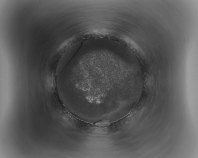 X0000115481110200911131210