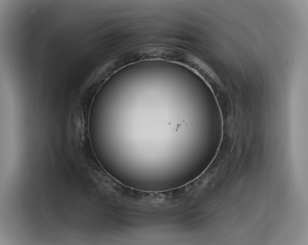 X0000115481111200911131210