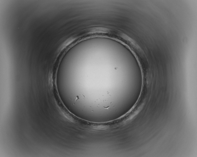 X0000115481113200911131210