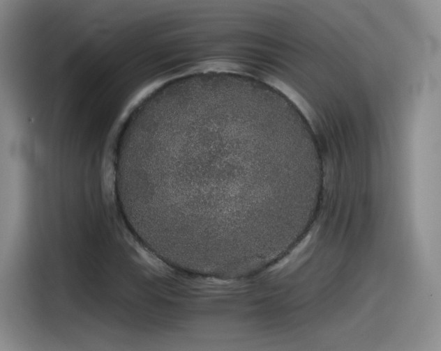 X0000115481115200911131210