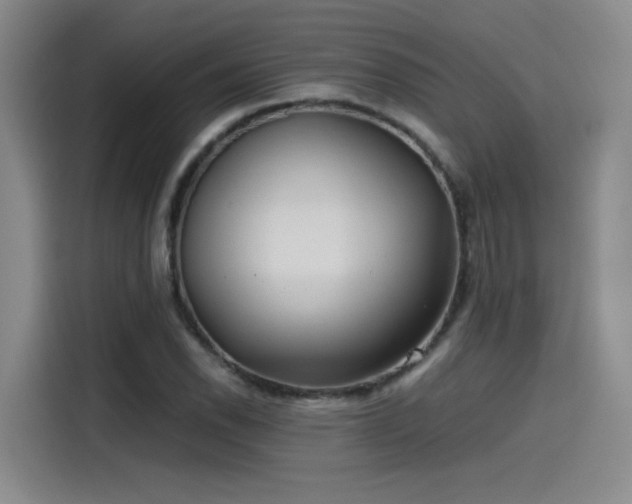 X0000115481118200911131210