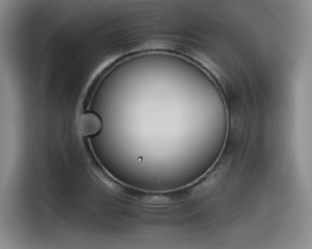 X0000115481119200911131210