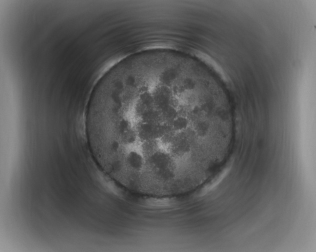 X0000115481121200911131210