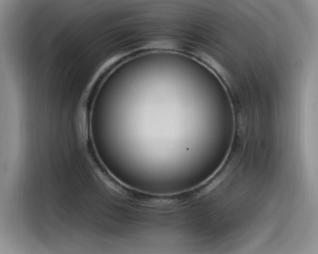 X0000115481123200911131210