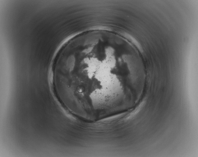 X0000115481125200911131210