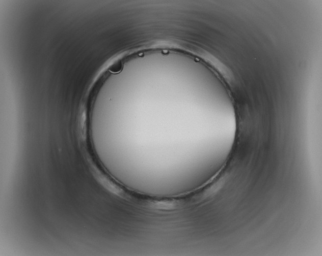 X0000115481126200911131210