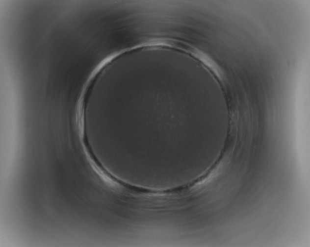 X0000115481127200911131210