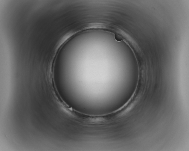 X0000115481129200911131210