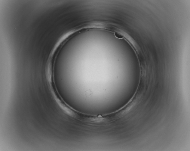 X0000115481131200911131210