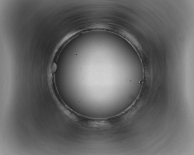 X0000115481133200911131210