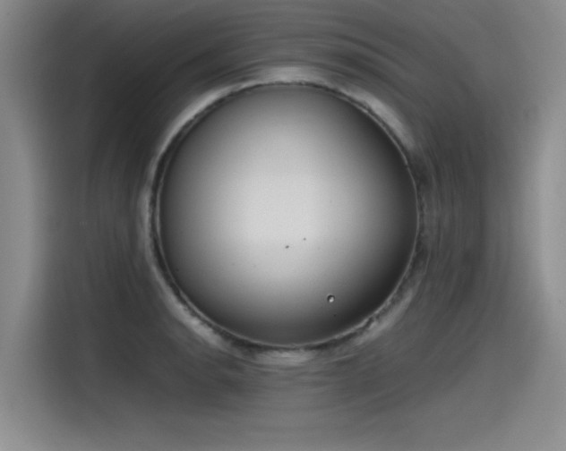 X0000115481134200911131210