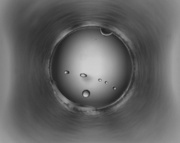 X0000115481137200911131210