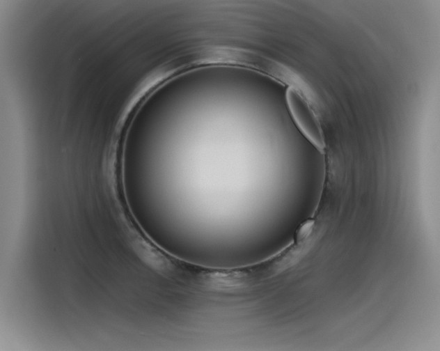 X0000115481138200911131210