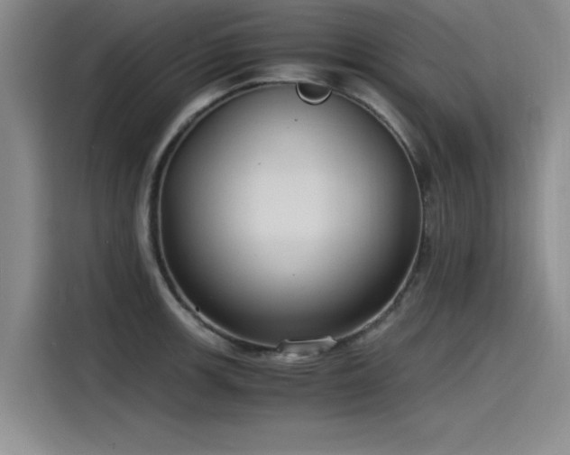 X0000115481139200911131210