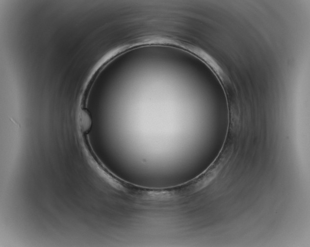 X0000115481142200911131210