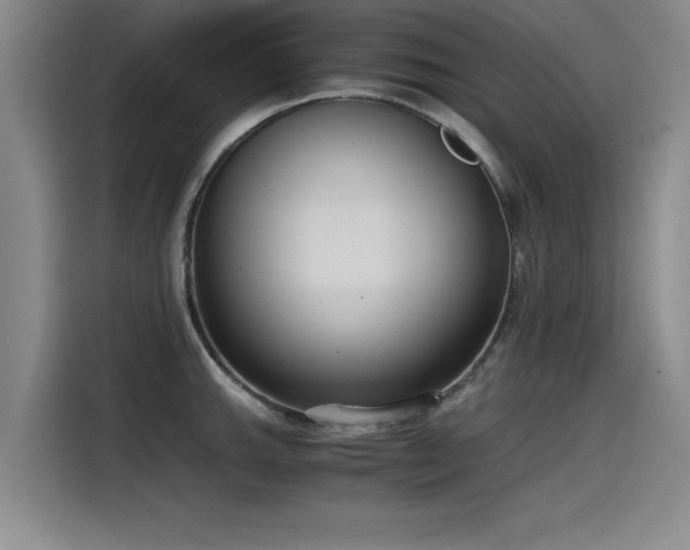 X0000115481143200911131210