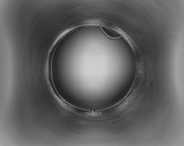 X0000115481147200911131210