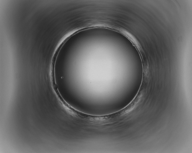 X0000115481149200911131210