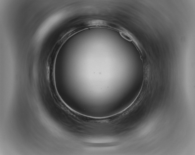 X0000115481151200911131210