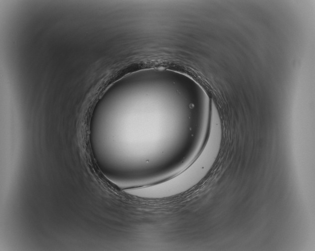 X0000115481153200911131210