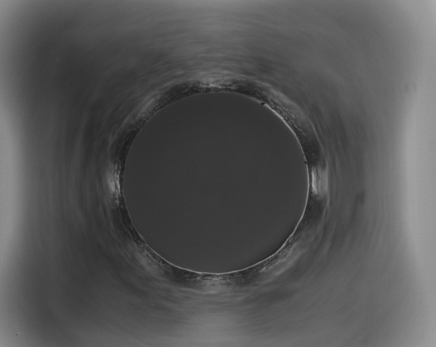 X0000115481155200911131209