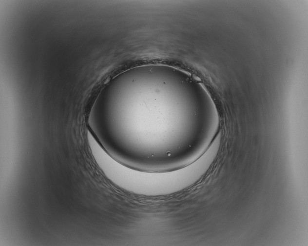 X0000115481157200911131209