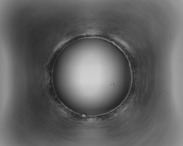 X0000115481160200911131209