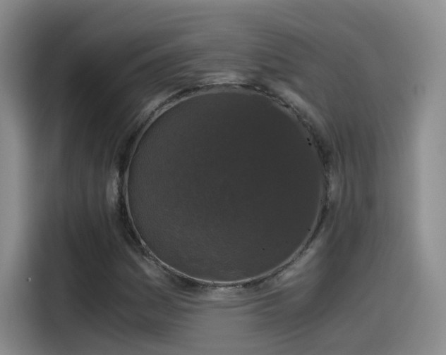 X0000115481161200911131209