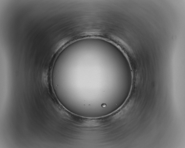 X0000115481162200911131209