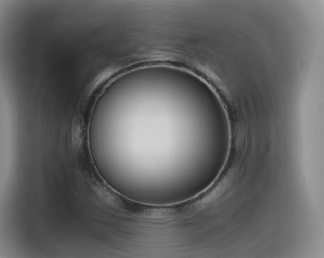 X0000115481163200911131209