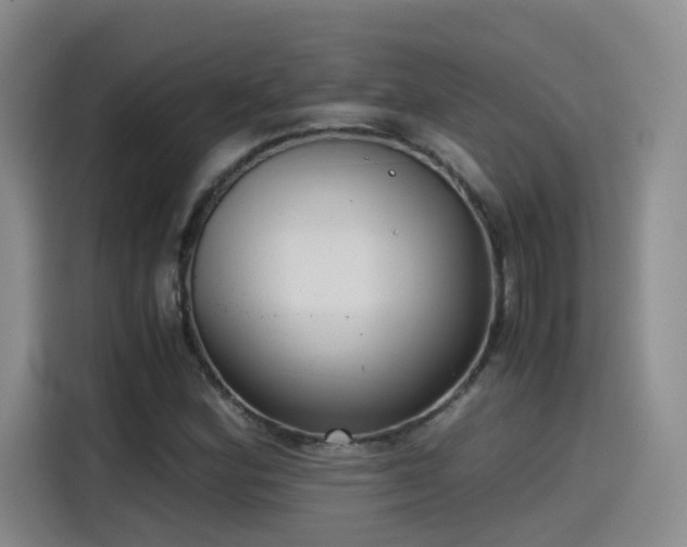 X0000115481164200911131209