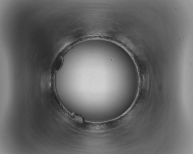 X0000115481165200911131209