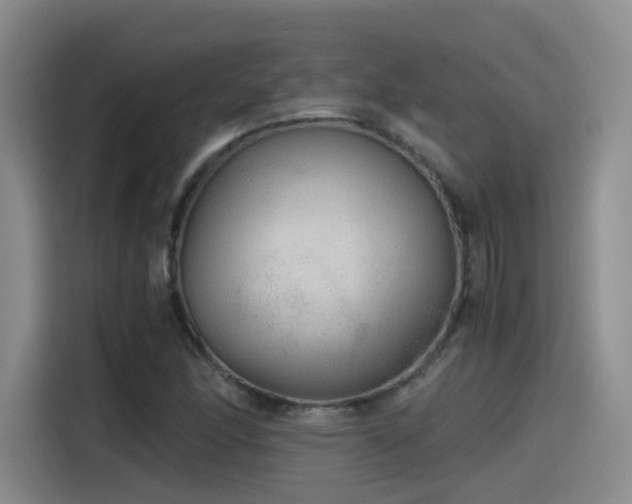 X0000115481166200911131209