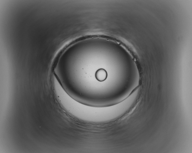 X0000115481167200911131209