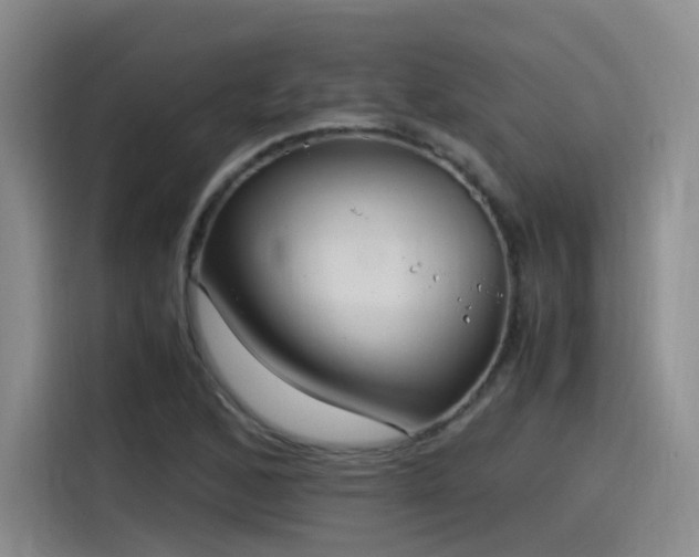 X0000115481168200911131209