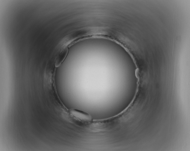 X0000115481169200911131209