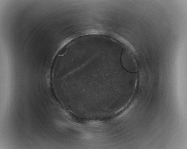 X0000115481170200911131209