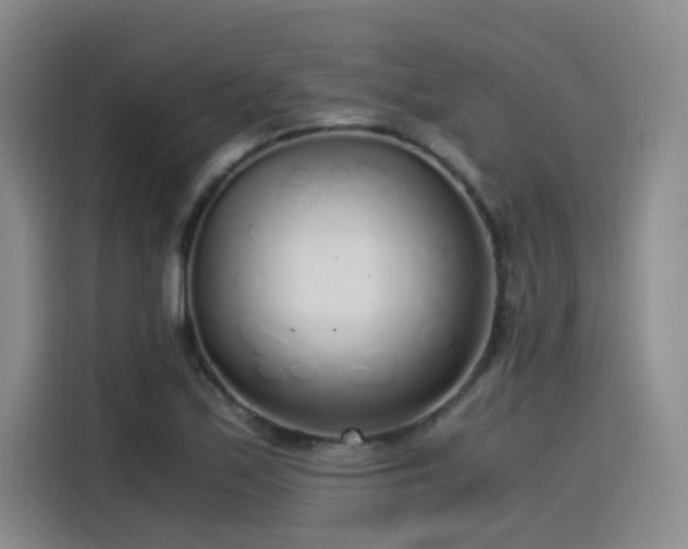 X0000115481171200911131209