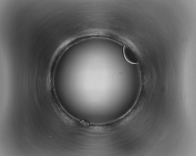 X0000115481172200911131209