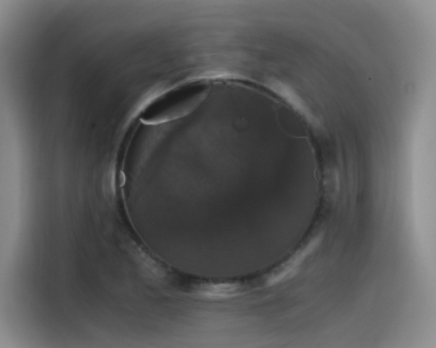 X0000115481173200911131209