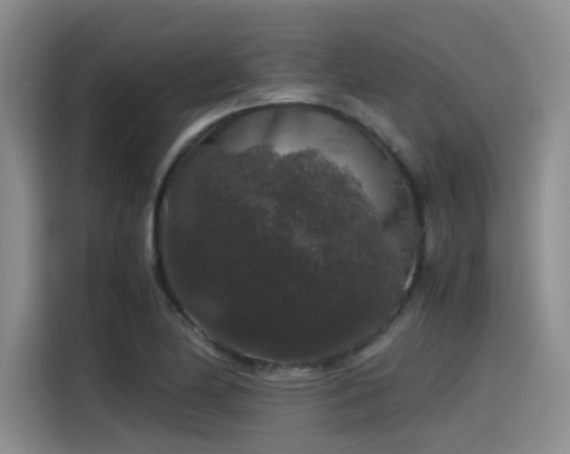 X0000115481174200911131209