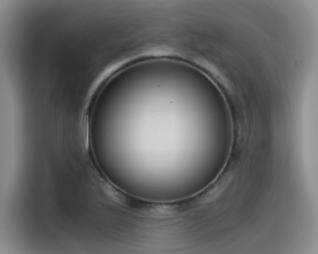 X0000115481175200911131209