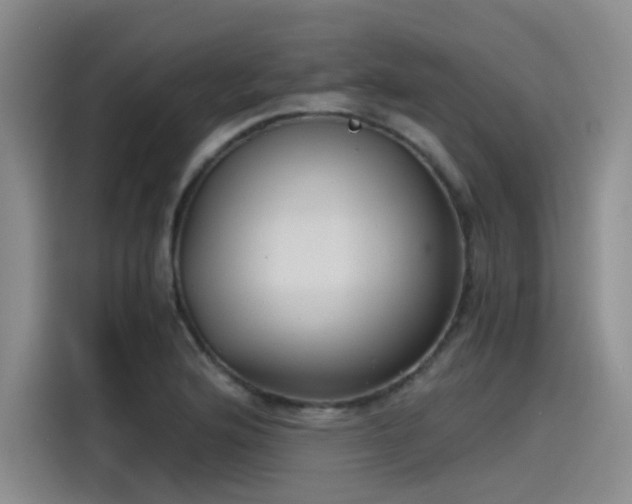 X0000115481176200911131209